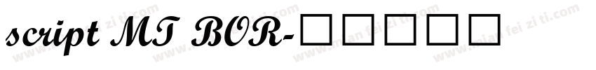 script MT BOR字体转换